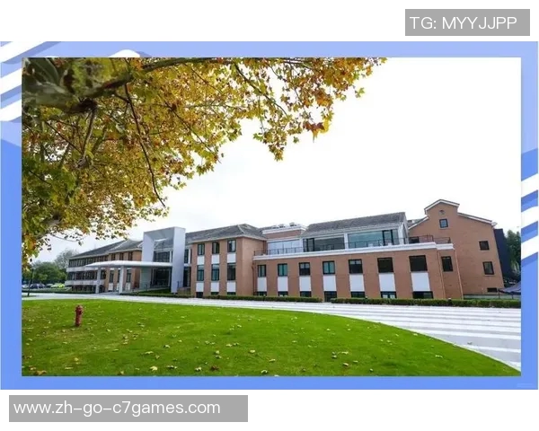 平湖最具影响力足球球星实力综合排名与辉煌成就全景解析